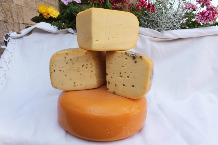 ser-gouda-wanczykowka-delikatesy-smaqu